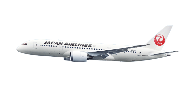 Japan Airlines plane image